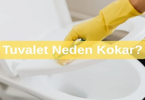 Tuvalet Neden Kokar?
