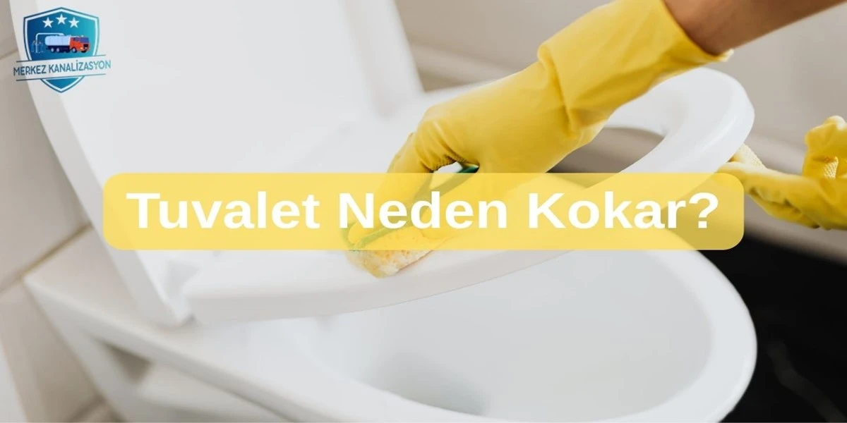 Tuvalet Neden Kokar?